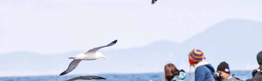 你能想象225片塑料在胃里是怎样的感受吗？