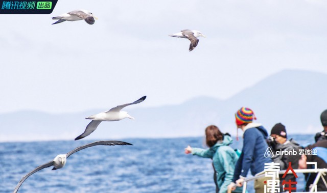 你能想象225片塑料在胃里是怎样的感受吗?