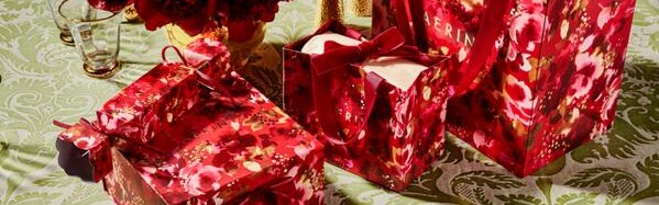 AERIN雅芮温暖此刻 至臻礼盒邂逅你的节日光景