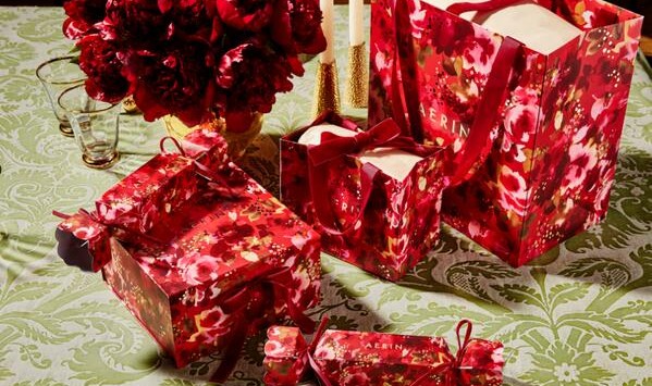 AERIN雅芮温暖此刻 至臻礼盒邂逅你的节日光景