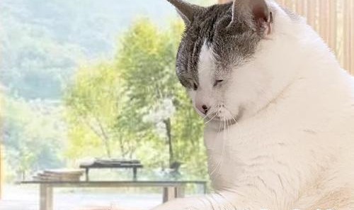 生图不崩的状态感，从哪儿来？