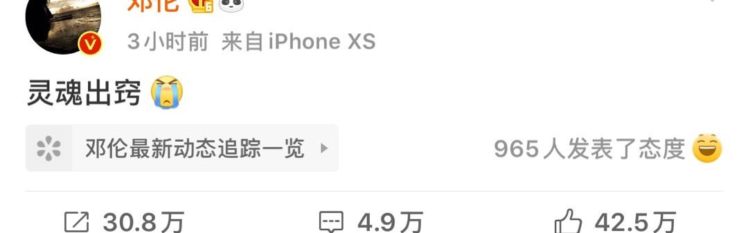 听说我马上就可以天天追综艺了?!