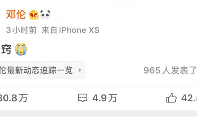 听说我马上就可以天天追综艺了?!