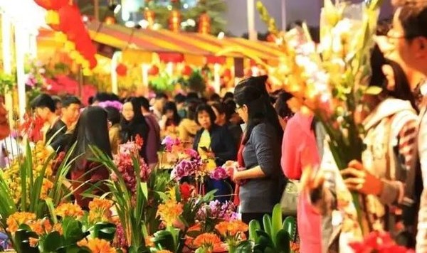 过年逛花市，买些多肉回去旺财又旺宅