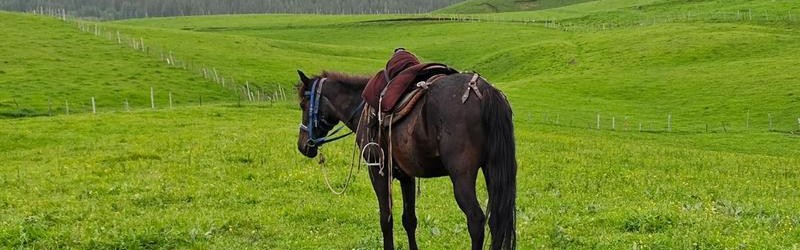 时尚芭莎90秒 |你想都不敢想的盛世美景,坐标中国