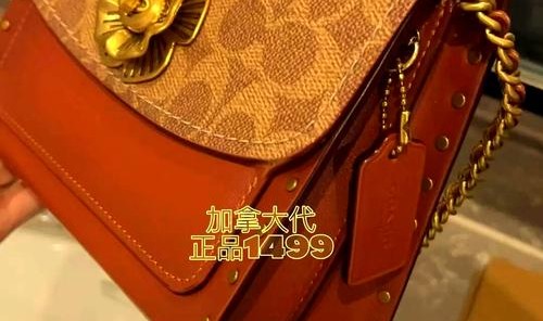 蔻驰山茶花是哪年的款,蔻驰山茶花包经典款香奈儿也有使用