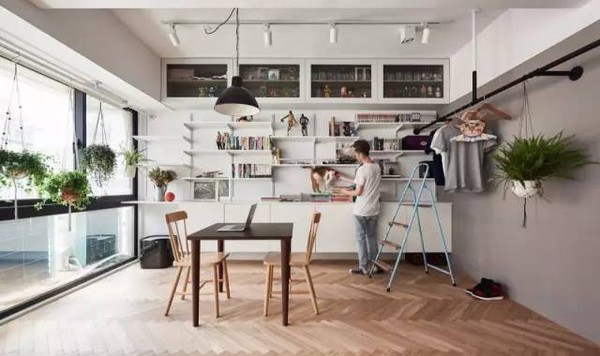 一只‘单身狗’和‘两只猫’的家