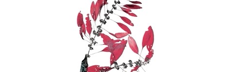 等了13天，Valentino带来一场人间大戏！