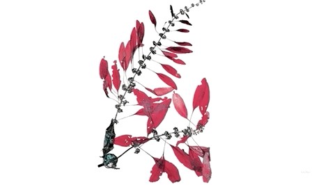 等了13天，Valentino带来一场人间大戏！