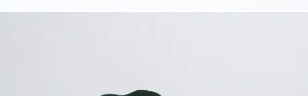 包装中只要加点动物元素,立马萌萌哒