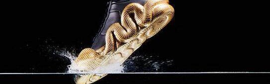 Giuseppe Zanotti 经典眼镜蛇系列运动鞋回归