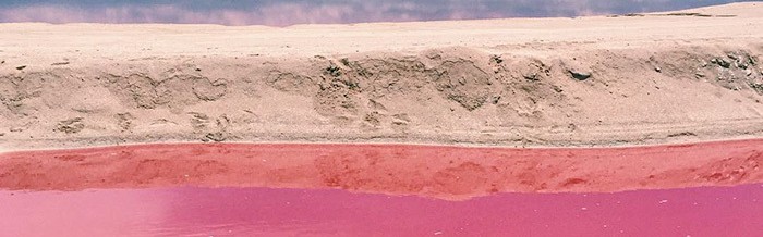 墨西哥的粉色水域,看一眼就忘不掉