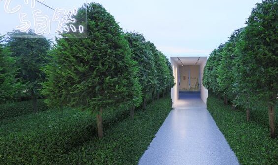 Fresh馥蕾诗 x 大都会艺术博物馆天猫超品日盛大开幕