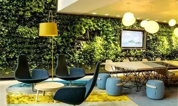 养这8种植物在办公室,助你鸡年财旺运好工作顺心