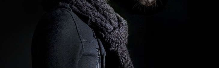 真实版疯狂动物城,兽面人身,带来诡异视觉体验