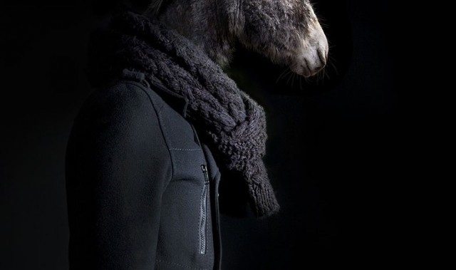 真实版疯狂动物城,兽面人身,带来诡异视觉体验