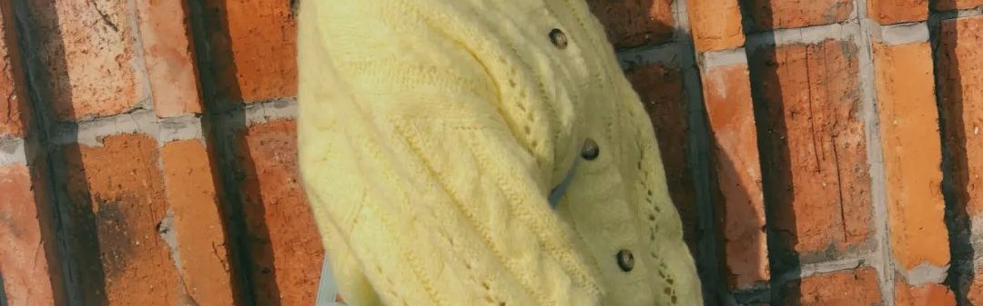 买到刘诗诗的新包后,2020年的心态终于不不崩了!