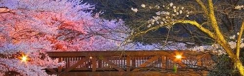 日本景观——隐性的日本美学