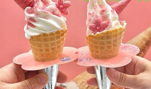 这些樱花是可以吃的！