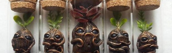 掌中的魔法森林