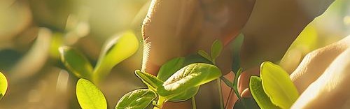 在这一方美育天地里，守护春芽破土