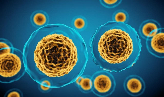 ​解锁抗衰密码：30岁向衰老“宣战”