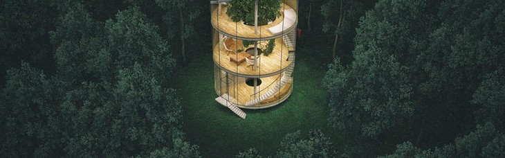 这也许是你见过的最美的林中小屋