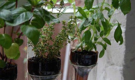 酒瓶变花瓶:DIY实用个性的艺术花器