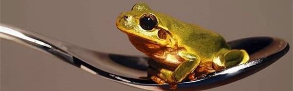 他的画比照片还写实