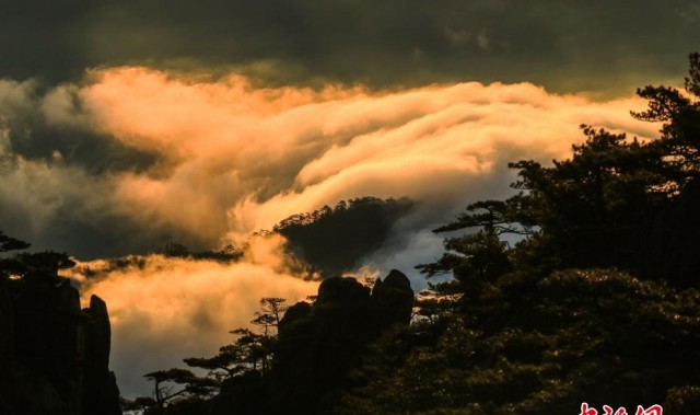 安徽黄山“海”上日出 万丈金辉滚滚来