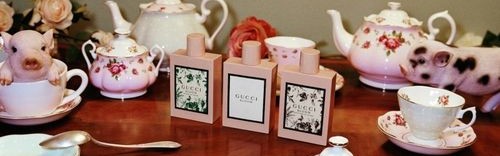 Gucci 推出最新 2019 猪年别注系列