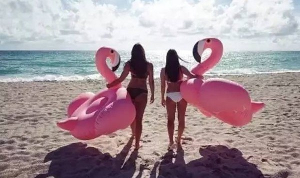 ins网红火烈鸟 优雅热带风 粉嫩霸屏！