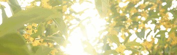 没想到被蓝盈莹安利了这波属于冬天的气味!
