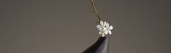 你才是简单的花瓶呢！