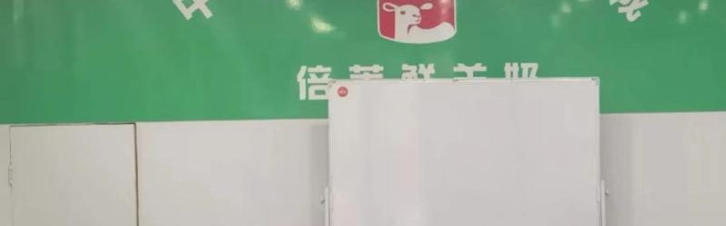 隆力奇新疆霍尔果斯工厂项目启动