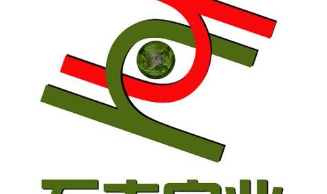 上海箱包配件公司,上海创昊贸易有限公司法人苗正营业中