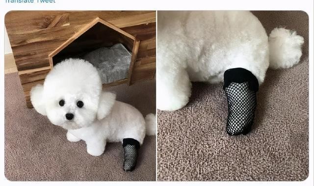 一穿它出现，怎么就赢得很大？