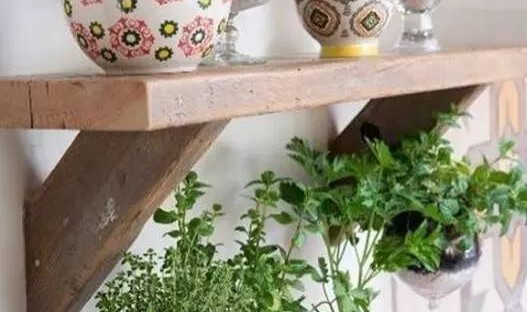 绿植也有魔力？没想到这些小家伙的出现让家居焕然一新更有格调！