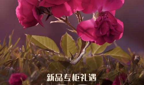 馥郁玫瑰,臻致礼遇