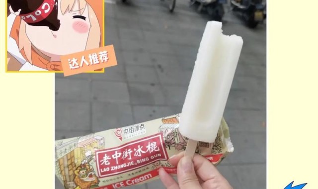 这支冰棍满足了我对外星食物的想象