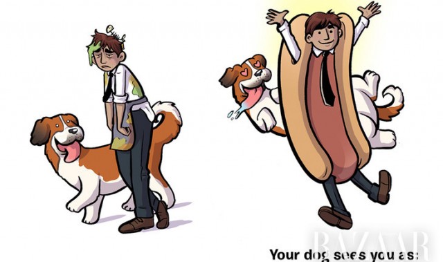 10张暖心小图,让你知道狗狗心中的你~