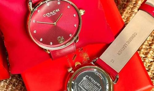 新年伊始，展现第一抹腕间艺术 COACH腕表为你呈献时光之礼