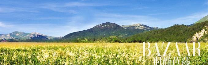 L’Occitane欧舒丹全新焕亮美白新品上市