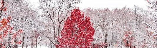 冬天皮肤干燥脱皮?ENEOMEY教你用“果酸”一招搞定