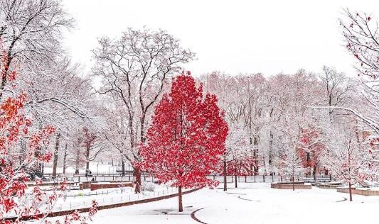 冬天皮肤干燥脱皮?ENEOMEY教你用“果酸”一招搞定