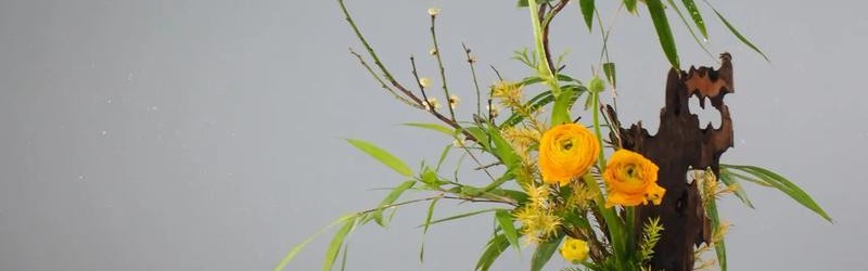 禅意插花 · 一场花与禅的邂逅