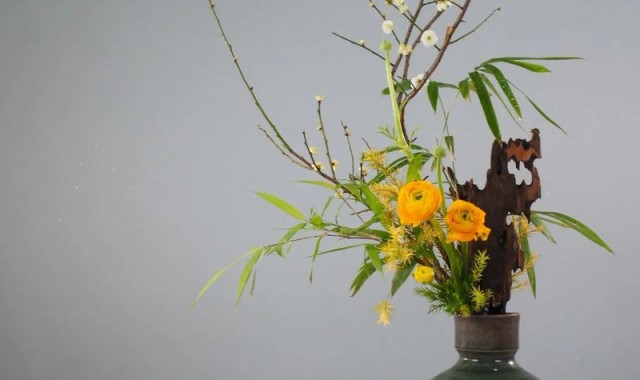 禅意插花 · 一场花与禅的邂逅