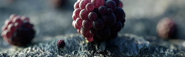 让人忍不住流口水的浆果星球