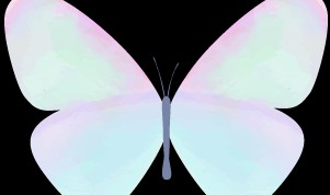 初秋这几天，别人都在抢外套风衣，我第一时间换上了Angelababy同款奶油妆！