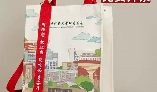 箱包定做,河南盛楠贸易有限公司定做学生包提升学校形象